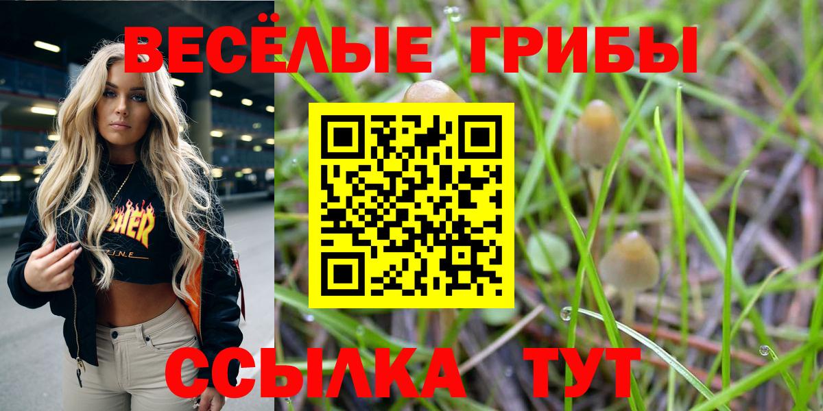 Ижевск  Галлюциногенные грибы ЛСД  Вход с VPN  Галлюциногенные грибы Cubensis 